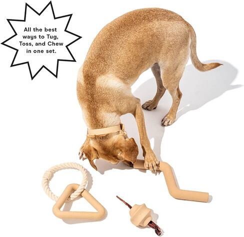 Wild One Dog Small Toy Kit for Average Chewers, Durable for Small Breeds, 100% Natural, Fetch, Tug, Chew Tan (Set of 3 Toys) in Saudi Arabia