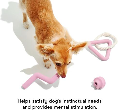 Wild One Dog Small Toy Kit for Average Chewers, Durable for Small Breeds, 100% Natural, Fetch, Tug, Chew Tan (Set of 3 Toys) in Saudi Arabia