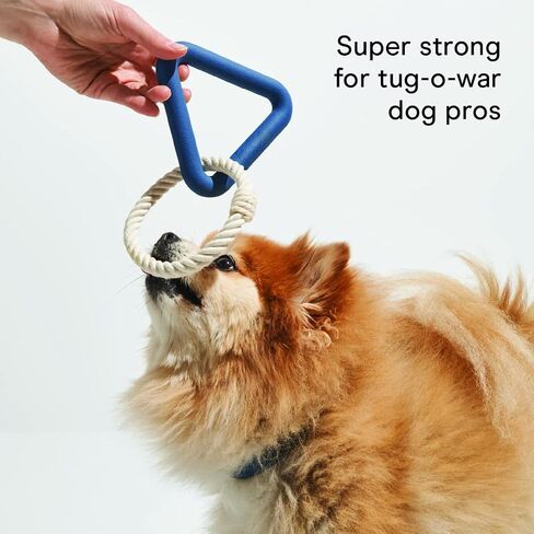 Wild One Dog Small Toy Kit for Average Chewers, Durable for Small Breeds, 100% Natural, Fetch, Tug, Chew Tan (Set of 3 Toys) in Saudi Arabia
