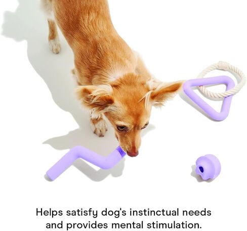 Wild One Dog Small Toy Kit for Average Chewers, Durable for Small Breeds, 100% Natural, Fetch, Tug, Chew Tan (Set of 3 Toys) in Saudi Arabia