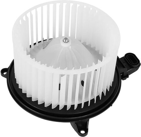 Heater Blower Motor Assembly Left-Hand Drive fit for The 2009-2014 Ford F-150,2009-2017 Expedition & Lincoln Navigator,Replaces 700237, AL1Z19805A in Saudi Arabia