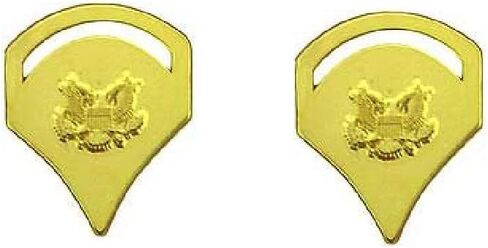 United States Army Insignia of Rank Gold Tone 7/8-1.5" Lapel Pin in Saudi Arabia