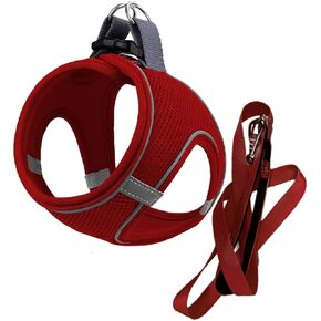 MITA Dog Harness and Leash Set - Puppy Harness - Cat Harness - Comfortable Step-in Big & Small Dog Harness, Breathable and Multi Weather Mesh Escape Proof Dog Harness - Secure & Comfortable