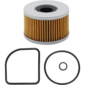 15412-413-005 Motorcycle Oil Filter Replacement for Honda 154A1-413-505, 154A1-413-000, 15412-413-000, 15412-KEA-003, 15412-KK9-911, 15412-413-000, 15412-HP7-A01, 15412-KEA-003(2PCS)