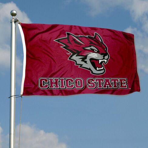 Chico State Wildcats New Logo Flag in Saudi Arabia