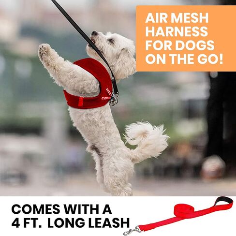MITA Dog Harness and Leash Set - Puppy Harness - Cat Harness - Comfortable Step-in Big & Small Dog Harness, Breathable and Multi Weather Mesh Escape Proof Dog Harness - Secure & Comfortable in Saudi Arabia