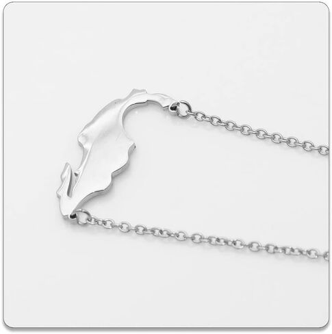 PEAS Fashion Jewelry Necklace Stainless Steel Mexico Map Pendant Necklace in Saudi Arabia