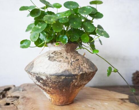 Ceramic Rustic Vase, Farmhouse Vase, Pottery Vase, Vintage Flower vase, Terra Cotta Vase for Home Decor, Living Room, Dining Room, Bedroom, Kitchen, Bathroom, Hallway (Short) in Saudi Arabia
