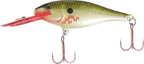 Rapala Shad Rap 07 Fishing lure (Bleeding Olive Flash, Size- 2.75) in Saudi Arabia
