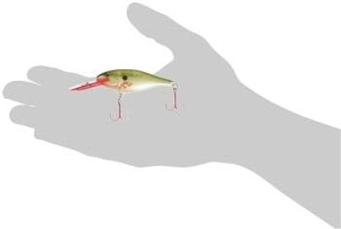 Rapala Shad Rap 07 Fishing lure (Bleeding Olive Flash, Size- 2.75) in Saudi Arabia