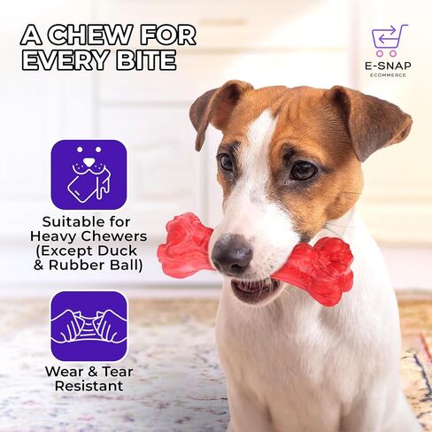 Dog Toys, 5-Piece Set, Dog Toy Bundle, High end chew Toys, All Natural and Safe chew Toys, Great Value Set, Luxury Dog Accessories Hand-Picked from top Manufacturers. in Saudi Arabia