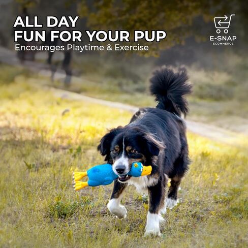 Dog Toys, 5-Piece Set, Dog Toy Bundle, High end chew Toys, All Natural and Safe chew Toys, Great Value Set, Luxury Dog Accessories Hand-Picked from top Manufacturers. in Saudi Arabia