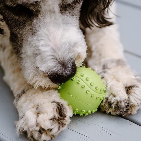 Dog Toys, 5-Piece Set, Dog Toy Bundle, High end chew Toys, All Natural and Safe chew Toys, Great Value Set, Luxury Dog Accessories Hand-Picked from top Manufacturers. in Saudi Arabia