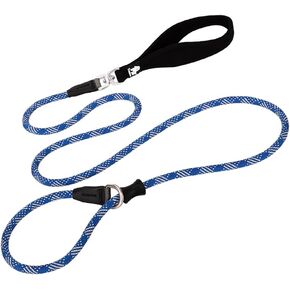 Nylon Dog Training Leash, Slip Lead Dog Leash, Blue, 6 FT, Large