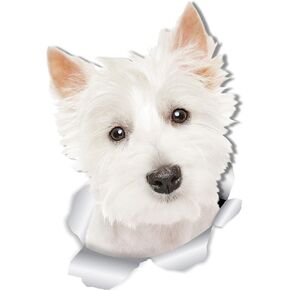 Winston & Bear Cute Westie Dog Wall Decals - 2 Pack - West Highland White Terrier 3D Sticker Decals for Walls, Cars, Toilet and More - Retail Packaged Westie Gifts