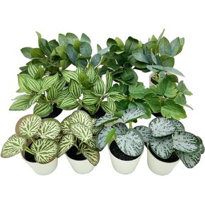 12 Packs Fake Plants Small Artificial Plastic Plants with Pots,UV Resistant Faux Mini Potted Greenery Leaves Plants Indoor for Living Room and Office Table Decoration with Box