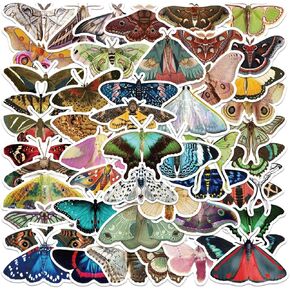 50PCS Bird Aesthetic Stickers for Kids Teens Adults, Parrot, Pigeon Vinyl Waterproof Stickers for Water Bottles, Laptop, Scrapbook, Luggage, Phone, Skateboard, Animal Party Supplies (Bird)