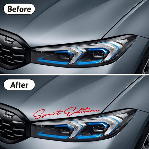 Zhizhong Sport Edition Decal, 2 Pcs 11.3'' Car Hood Vinyl Sticker Fit for All Cars (Black) in Saudi Arabia