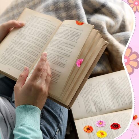 30 جهاز كمبيوتر شخصى الإشارات المرجعية المغناطيسية للنساء علامات الصفحة علامات كتاب متنوعة الأزهار المغناطيس المرجعية كليب زهرة الإشارات المرجعية كتاب الملحقات لوازم الطباعة النباتية للمعلمين الطلاب كتاب القراءة هدية in Kuwait