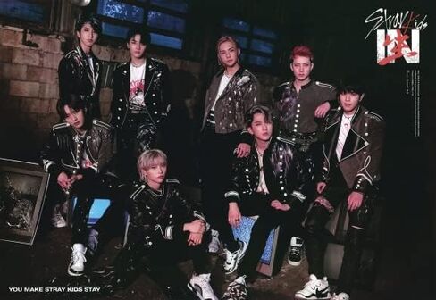 STRAY KIDS - In Life [إصدار قياسي/عشوائي]+1 ملصق مطوي للمجموعة+1 بطاقة صورة إضافية+1 قناع أيدول+1 مرآة يد للجيب in Kuwait