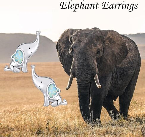 Owl Otter Elephant Stud Earrings Sterling Silver Stud Earrings Jewelry Gifts for Women Girls in Saudi Arabia