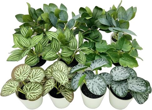 12 Packs Fake Plants Small Artificial Plastic Plants with Pots,UV Resistant Faux Mini Potted Greenery Leaves Plants Indoor for Living Room and Office Table Decoration with Box in Saudi Arabia