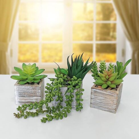 Set of 3 Assorted Small Green Potted Succulents Plants Decoration String of Pearls Fake Succulents in Rustic Wooden Pots for Home Living Room Bathroom Table Windowsill Shelf Office Desk Indoor Decor in Saudi Arabia