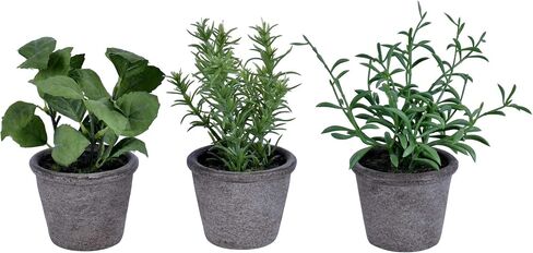 Vickerman Everyday 7" Artificial Green Potted Plant Assortment - Set of Three - Black Plastic Pots - Greenery for Home Or Office - Maintenance Free - Faux Plant Set in Saudi Arabia