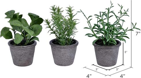 Vickerman Everyday 7" Artificial Green Potted Plant Assortment - Set of Three - Black Plastic Pots - Greenery for Home Or Office - Maintenance Free - Faux Plant Set in Saudi Arabia