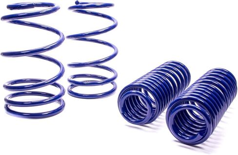 Ford M5300L SVT Spring Kit for Ford Mustang in Saudi Arabia