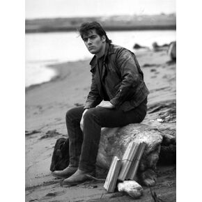 Posterazzi Ken Wahl on a Rock at a Beach Photo Print (24 x 30)
