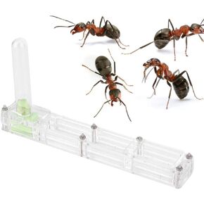 Ant Breeding Box, Acrylic Ant Breeding Nest Ant Farm House Ant Display Box with Water Tower, Moisturizing, with 1Pcs Dropper, 1Pcs Clamp, 1Pcs Glass Bottle(Transparent)