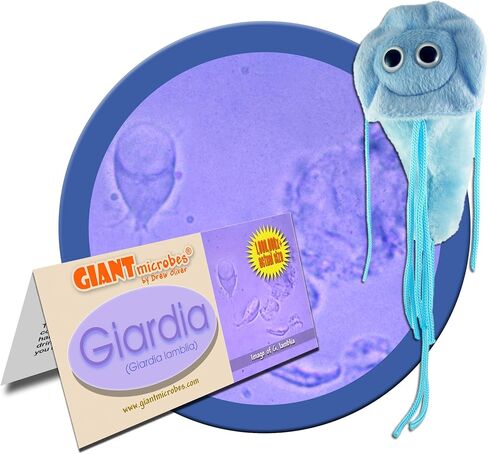 GIANTmicrobes Giardia Plush – Learn About Nature and Biology with This Educational Gift for Family, Friends, Travelers, Water Treatment, Scientists, Educators and Anyone with a Healthy Sense of Humor in Saudi Arabia