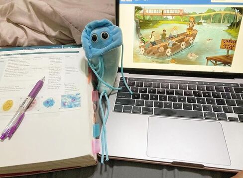 GIANTmicrobes Giardia Plush – Learn About Nature and Biology with This Educational Gift for Family, Friends, Travelers, Water Treatment, Scientists, Educators and Anyone with a Healthy Sense of Humor in Saudi Arabia