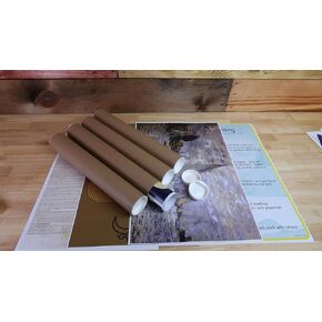 Poster Tubes for Shipping, Mailing, and Storage of Posters, Arts, Crafts, Documents, designs, and more - 14 Inch Length, 2 Inch Diameter, Pre-Capped (Pack of 4)