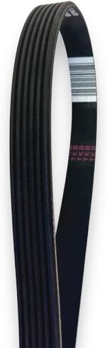 A/C Compressor Belt for Cummins ISX15 Engine 3682684 in Kuwait