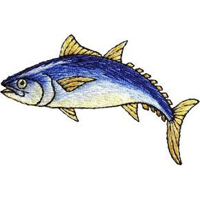 Bluefin Tuna Fish - Fishing - Embroidered Iron on Patch
