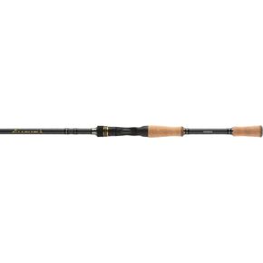 INTENZA Casting A