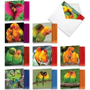 The Best Card Company - 10 Blank Heart Note Cards Boxed (4 x 5.12 Inch) - All Occasion Heartfelt Love Card Assortment - Heartscapes AM6838OCB-B1x10