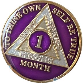 Ranger Industries 1 شهر AA Medallion Metallic Purple Tri-Plate 30 Day Sobriety Chip