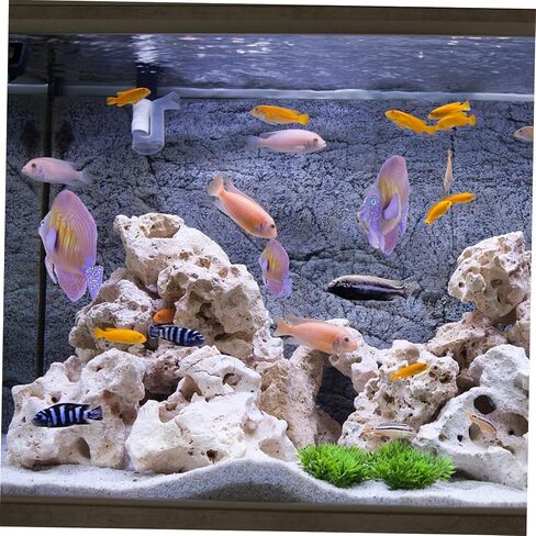 Artificial Fish Aquarium Accessories Pearl Decor Ocean Decor Aquarium Floating Ornament Artificial Floating Simulation Fake Betta Fish Aquarium Fish Aquarium Decor in Kuwait