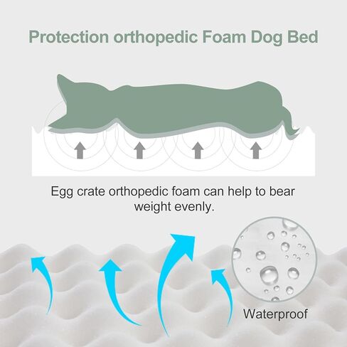 سرير كلب لتقويم العظام من Jiupety للكلاب المتوسطة الحجم، سرير كلب إسفنجي مقاوم للماء مع غطاء قابل للغسل وقابل للإزالة، أريكة للكلاب على شكل قفص بيض، أريكة للكلاب غير قابلة للتدمير، أخضر، L (34 بوصة × 26 بوصة × 5 بوصة) in Kuwait