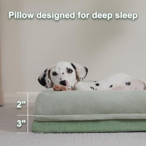 سرير كلب لتقويم العظام من Jiupety للكلاب المتوسطة الحجم، سرير كلب إسفنجي مقاوم للماء مع غطاء قابل للغسل وقابل للإزالة، أريكة للكلاب على شكل قفص بيض، أريكة للكلاب غير قابلة للتدمير، أخضر، L (34 بوصة × 26 بوصة × 5 بوصة) in Kuwait