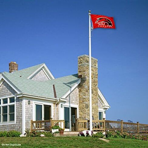 SIUE Cougars College Flag in Saudi Arabia