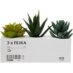 IKEA.. 203.953.31 Fejka Artificial Potted Plant with Pot, Indoor/Outdoor Succulent