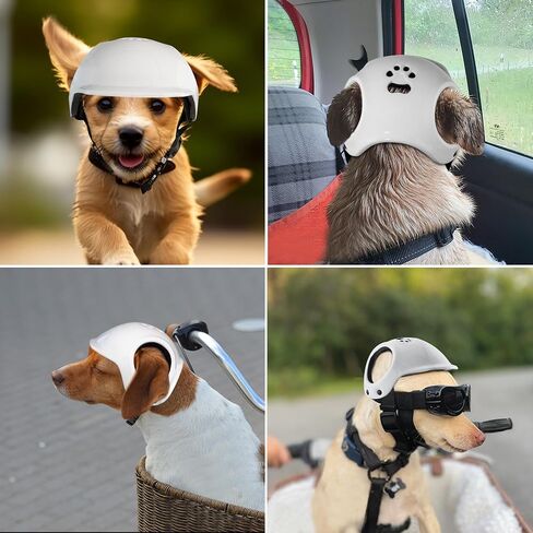 Dog Helmets for Small Dogs with Ear Holes, Hard Safety Pet Dog Hat for Puppy, Windproof Doggies Motorcycle Helmets for Outdoor Riding Hiking Cycling (White, Small) in Saudi Arabia