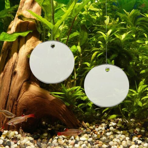 POPETPOP Floating Betta Exercise Mirror - 4Pcs Circle Betta Mirrors for Aquarium Fish Tank Decorations Beta Fish Accessory in Saudi Arabia