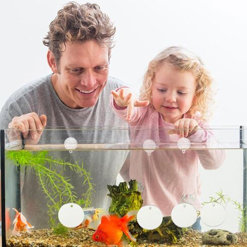 POPETPOP Floating Betta Exercise Mirror - 4Pcs Circle Betta Mirrors for Aquarium Fish Tank Decorations Beta Fish Accessory in Saudi Arabia