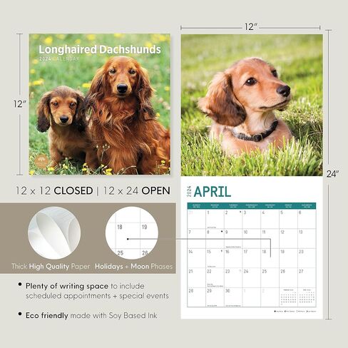 2024 Longhaired Dachshunds Monthly Wall Calendar by Bright Day, 12 x 12 Inch Cute Dog Breed Gift in Saudi Arabia