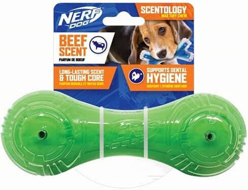 Nerf Dog 7in TPR/PP Scented Beef SuperScent Barbell Solid Core -Green/Clear in Saudi Arabia